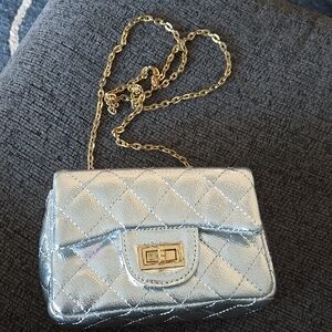 Chic Silver Quilted Mini Bag with Gold Chain